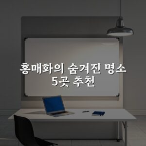홍매화의 숨겨진 명소 5곳 추천