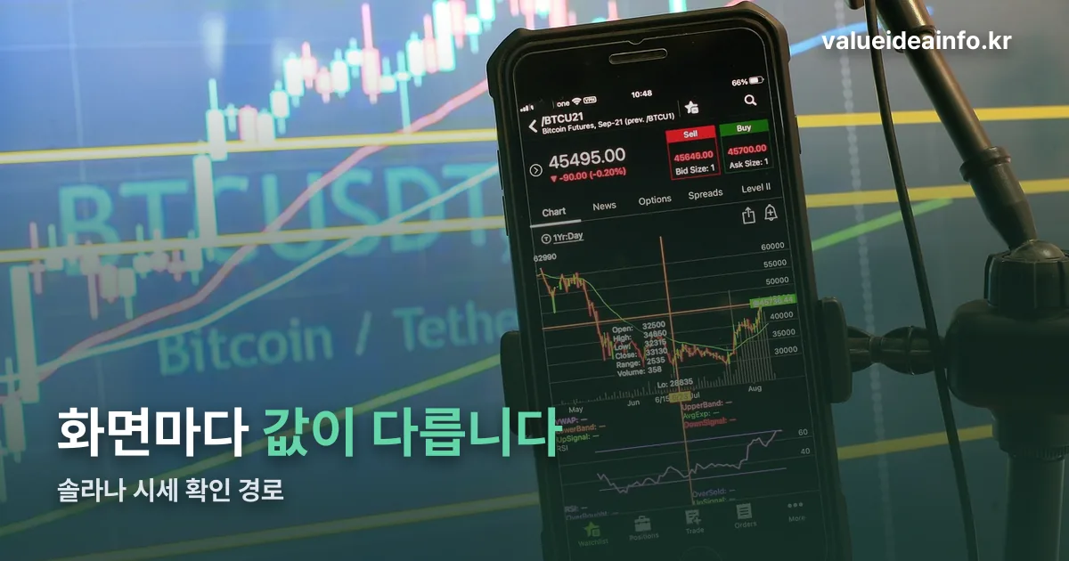 솔라나 시세 실시간 정리 썸네일